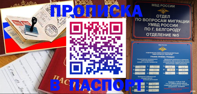 купить прописку в Ельне